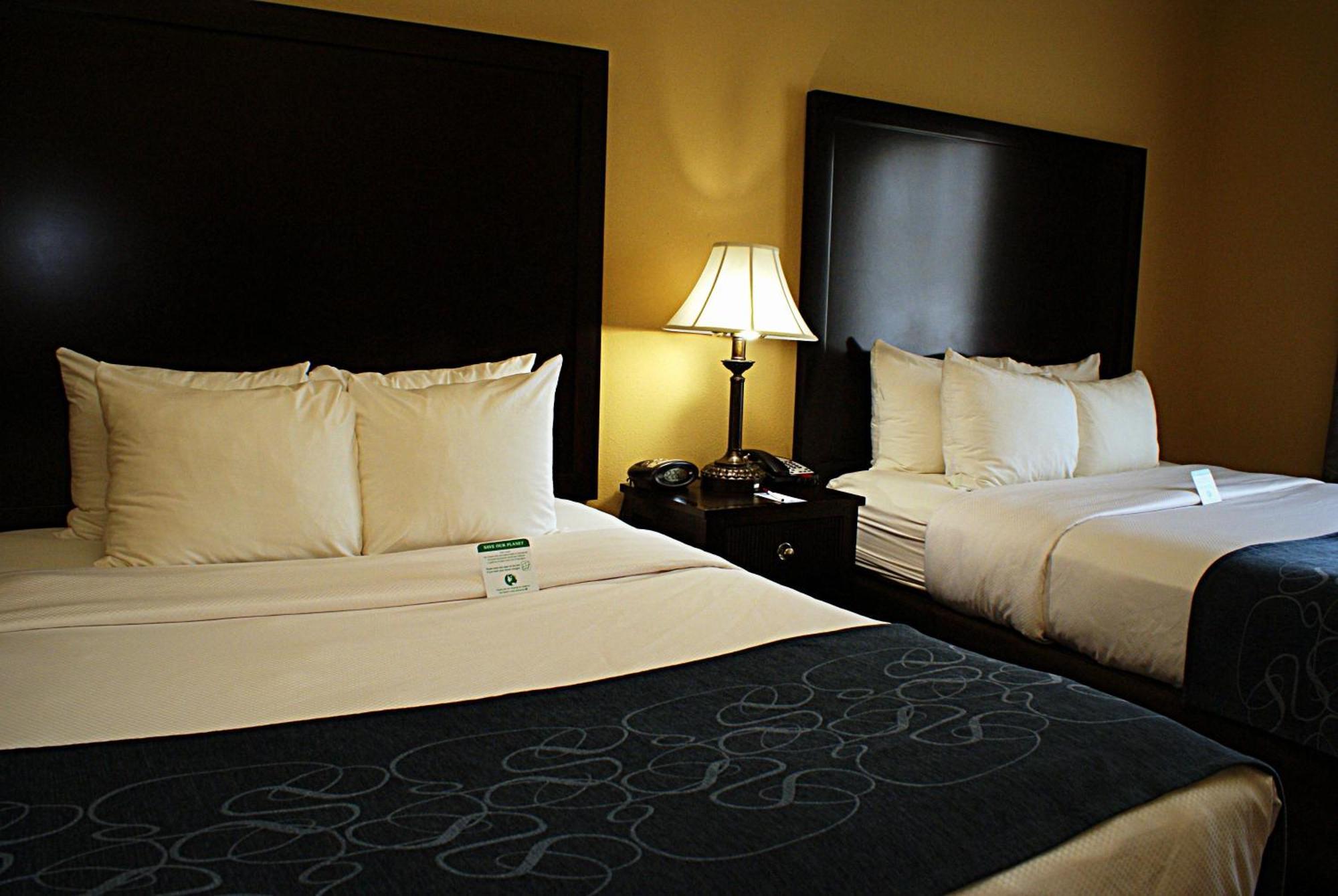 Comfort Suites Frisco Bilik gambar